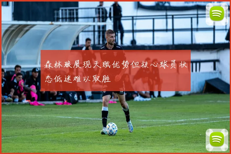 森林狼展现天赋优势但核心球员状态低迷难以取胜