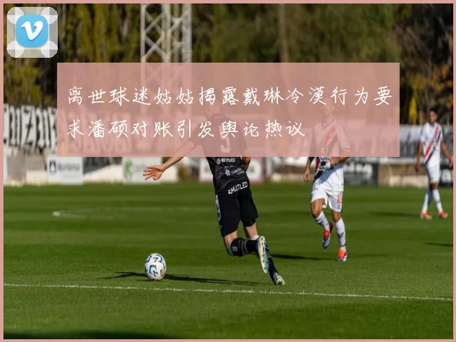离世球迷姑姑揭露戴琳冷漠行为要求潘硕对账引发舆论热议