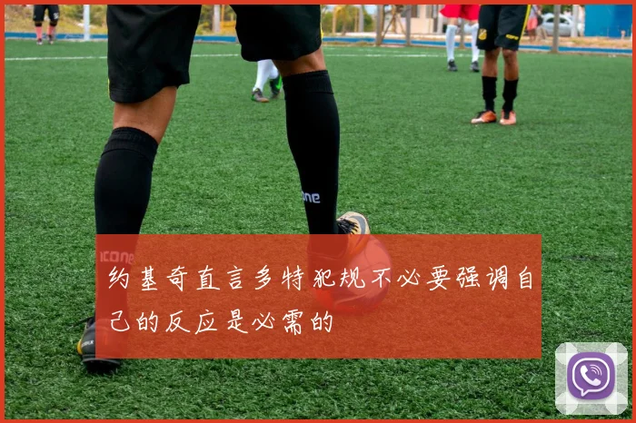 约基奇直言多特犯规不必要强调自己的反应是必需的