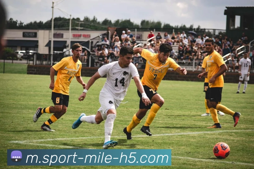 米乐体育发展历程